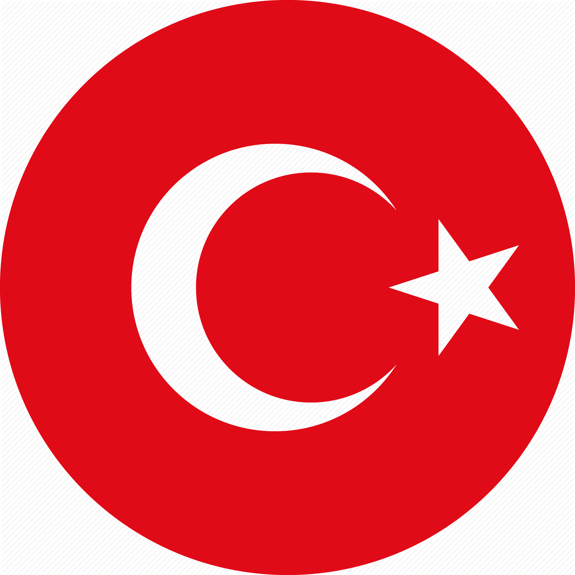 Türkçe